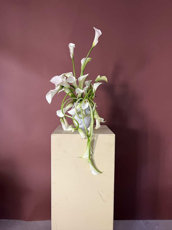 Best Florists in South Florida: Miami, Fort Lauderdale, and Palm Beach.